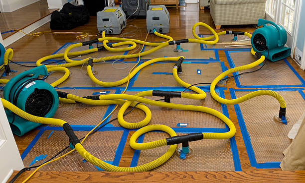 Professional Sewage Cleanup technician working in Atlanta, IL